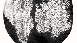 Timeline: DESCUBRIMIENTO DE LAS CÉLULAS