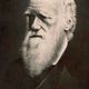 Charles darwin pic