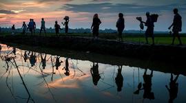Timeline: La historia de los rohingyás