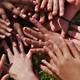 L1   history of multicultural education   hands
