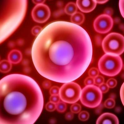 Timeline: Historia de la Célula