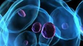 Timeline: Historia de la Célula