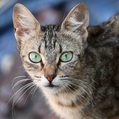 Timeline: Historia de las redes informáticas