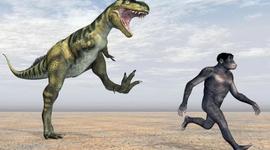 Timeline: Nuestros antepasados