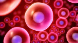 Timeline: Historia de la Célula