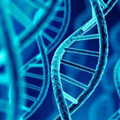 Timeline: DESCUBRIMIENTO DEL ADN