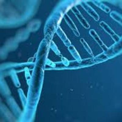 Timeline: DESCUBRIMIENTO DEL ADN