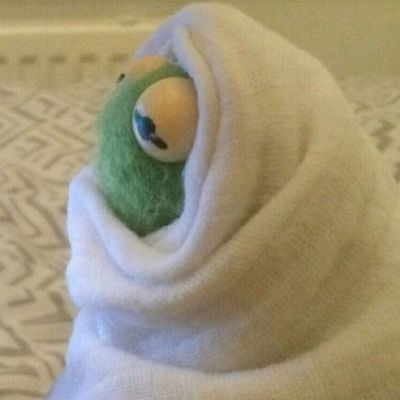 Timeline: Las computadoras