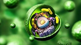 Timeline: Historia de la célula