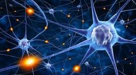 Timeline: Historia de la celula