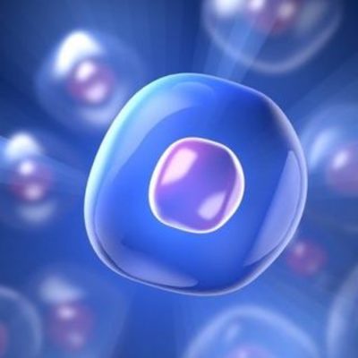 Timeline: Evolucion de la celula