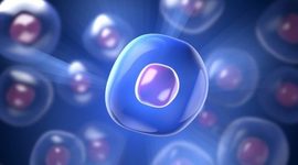 Timeline: Evolucion de la celula