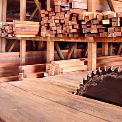 Timeline: MADEIREIRA SÃO JOSÉ