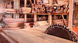 Timeline: MADEIREIRA SÃO JOSÉ