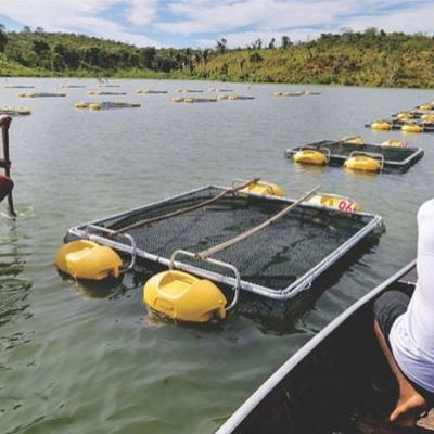 Timeline: ASSOCIAÇÃO DE PISCICULTORES DO SALGADO