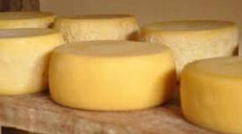 Timeline: SABOR DO QUEIJO