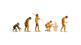 Timeline: Sviluppo pensiero evoluzionistico