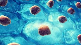 Timeline: El Descubrimiento de las Células