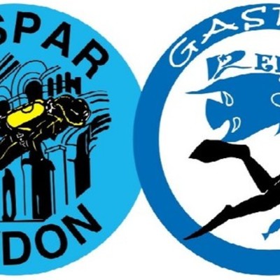 Timeline: Les présidents du GASPAR