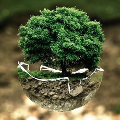 Timeline: Fundamentos de la Sustentabilidad