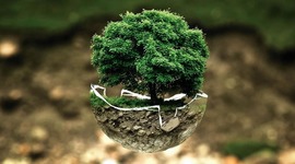 Timeline: Fundamentos de la Sustentabilidad