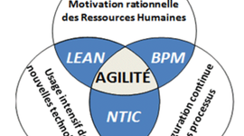 Timeline: Agilité des organisations