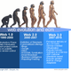 Web evolution