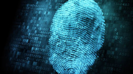 Timeline: Forensics Timeline