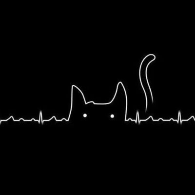 Timeline: PROCESADORES