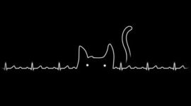 Timeline: PROCESADORES