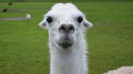 Timeline: Ungdomsfilm tidslinje