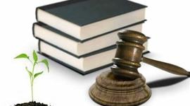 Timeline: Historia del Turismo y la Legislacion Ambiental en Mexico 1950-2018