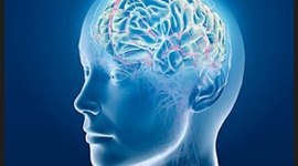 Timeline: Historia de la Psicopatología