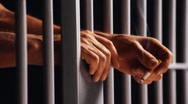 Timeline: Derecho penitenciario