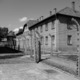 Holocaust