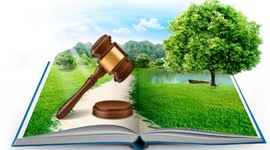 Timeline: Evolución del turismo y la Legislación Ambiental en México.