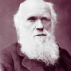Charles darwin