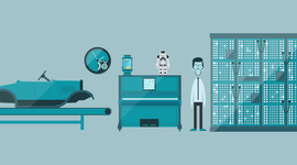 Timeline: Automatiseringens udvikling