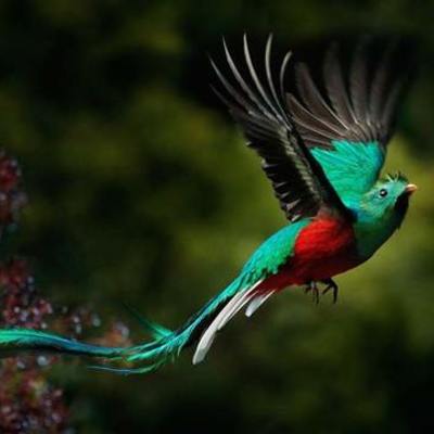 Timeline: Desarrollo Sustentable orígenes y términos Tarea Juan Hernandez Mendoza