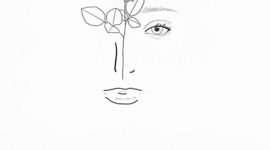 Timeline: ENTRENAMIENTO EDF 4B