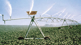 Timeline: Frise Historique sur les techniques d'irrigations