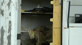 Timeline: Timeline of Ms.Matthews Photography