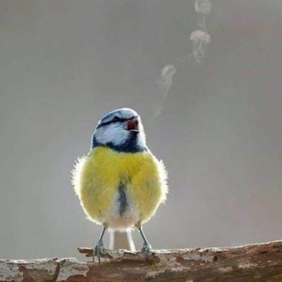 Timeline: STORIA MODERNA