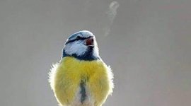 Timeline: STORIA MODERNA