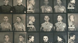 Timeline: The Holocaust