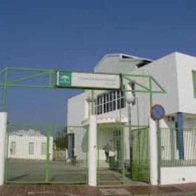 Timeline: 1er TRIMESTRE CAAP SOFIA PEDROZA