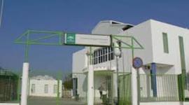 Timeline: 1er TRIMESTRE CAAP SOFIA PEDROZA