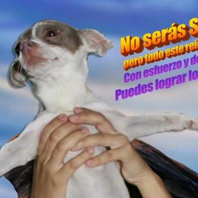 Timeline: LINEA DEL TIEMPO DESARROLLO HISTÓRICO DE LA ESTADÍSTICA