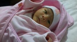 Timeline: Mi Biografía-Greace Vallejo