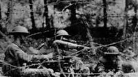 Timeline: Kortnee Ogg